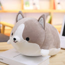 Shiba Inu Cartoon Pillow