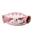 Cat Cav