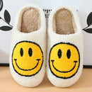 Smiley Slides
