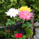 Chrysanthemum LED Solar Light