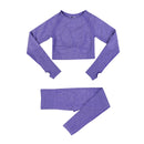 Seamless Fitness Sportswear