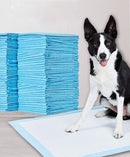 MagicPeePads - The ultimate potty training tool for both owner and dog!