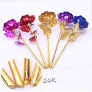 24K Foil Gold Plated Rose 