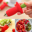 Fruit pulp and cutter set 