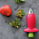 Fruit pulp and cutter set 