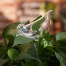 Self-watering Plant Bulb