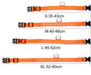 LED Collar