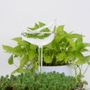 Self-watering Plant Bulb