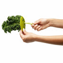 Veggie leaf stripper