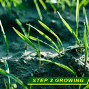 Biodegradable Garden Grass Mats 