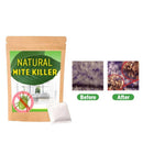 Natuurlijke Stofmijt & Bedwantsen Moordenaar (Pakket van 6)