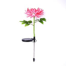 Chrysanthemum LED Solar Light