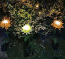 Chrysanthemum LED Solar Light