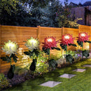 Chrysanthemum LED Solar Light