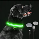 Glowing Dog Leash 