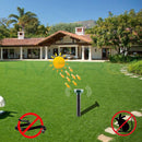 Solar-powered mole repeller
