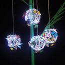 Solar-lit Mesh Butterfly Orb