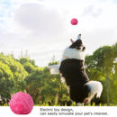 Magic Roll Ball 