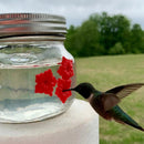 Hummingbird feeder with gate flower