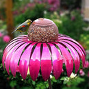 Coneflower Bird Feeder