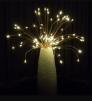 LED Starburst Lights