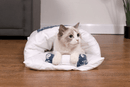 Cat sleeping bag