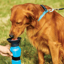 Portable Squeeze Dog Water Bottle