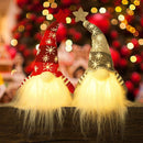Lighted Christmas Gnome