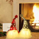 Lighted Christmas Gnome