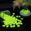 Glow in the Dark Garden Pebbles