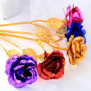 24K Foil Gold Plated Rose 