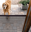 Pets Security Door Guard
