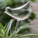 Self-watering Plant Bulb