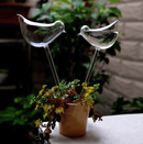 Self-watering Plant Bulb