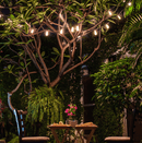 Solar Powered LED Outdoor String Lights 